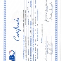 Ampliar imagem: certificate 5