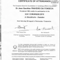 Ampliar imagem: certificate 9