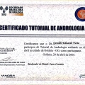 Ampliar imagem: certificate 64