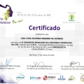 Ampliar imagem: certificate 3