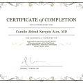 Ampliar imagem: certificate 6