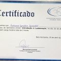 Ampliar imagem: certificate 11