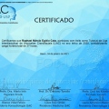 Ampliar imagem: certificate 133