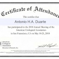 Ampliar imagem: certificate 5