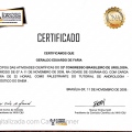 Ampliar imagem: certificate 236