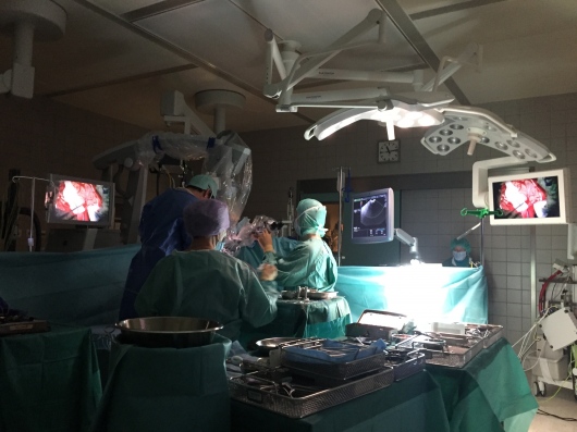 José Guilherme Amorim-0