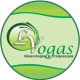 Liliane Vogas