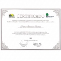 Ampliar imagem: certificate 38