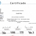 Ampliar imagem: certificate 278