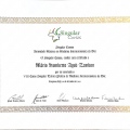 Ampliar imagem: certificate 2