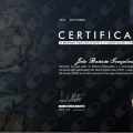 Ampliar imagem: certificate 11