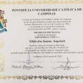 Ampliar imagem: certificate 9