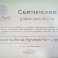 Ampliar imagem: certificate 13