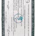 Ampliar imagem: certificate 2