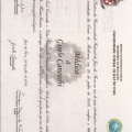 Ampliar imagem: certificate 2