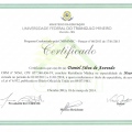 Ampliar imagem: certificate 6