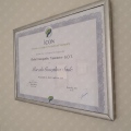 Ampliar imagem: certificate 10