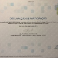 Ampliar imagem: certificate 13
