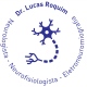 Lucas Roquim e Silva