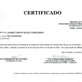Ampliar imagem: certificate 6