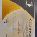 Ampliar imagem: certificate 6