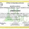 Ampliar imagem: certificate 4
