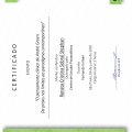 Ampliar imagem: certificate 1