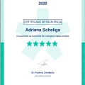 Ampliar imagem: certificate 1