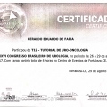 Ampliar imagem: certificate 329