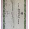 Ampliar imagem: certificate 5
