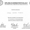 Ampliar imagem: certificate 5
