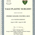 Ampliar imagem: certificate 8