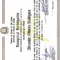 Ampliar imagem: certificate 3