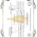 Ampliar imagem: certificate 10
