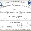 Ampliar imagem: certificate 4