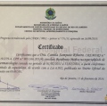 Ampliar imagem: certificate 4