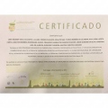 Ampliar imagem: certificate 26