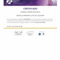 Ampliar imagem: certificate 9