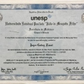 Ampliar imagem: certificate 3
