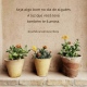 Eliane Montes