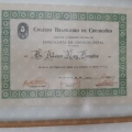 Ampliar imagem: certificate 6