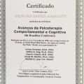 Ampliar imagem: certificate 8
