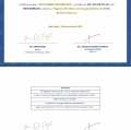 Ampliar imagem: certificate 3