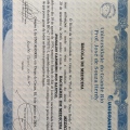Ampliar imagem: certificate 5