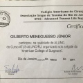 Ampliar imagem: certificate 7