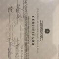 Ampliar imagem: certificate 2