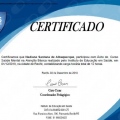 Ampliar imagem: certificate 6