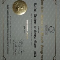 Ampliar imagem: certificate 3