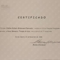 Ampliar imagem: certificate 3