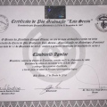 Ampliar imagem: certificate 8